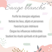 Charger l&#39;image dans la galerie, Purifie les énergies négatives
Sauge Blanche
Nettoie les lieux, objets et personnes
Favorise la paix intérieure
Éloigne les influences indésirables
Soutient les rituels spirituels et de guérison
